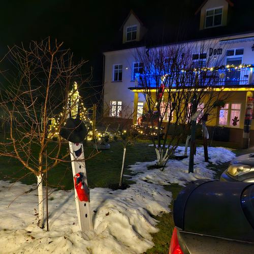 Zimowy ogród CuratioW nocą z choinkami w lampkach, drzewko ozdobione bombkami i okiennymi dekoracjami w tle