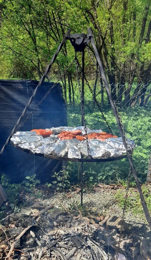Grill na trójnogu z mięsem i ziemniakami w folii podczas pikniku przy Domu Aktywnego Seniora CuratioW w Rajczy