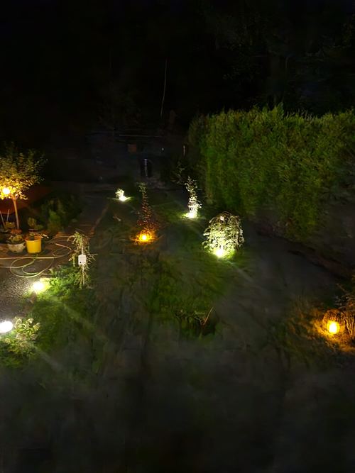 Nocna iluminacja ogrodu CuratioW w Rajczy z punktowymi lampkami między krzewami i wysokim żywopłotem