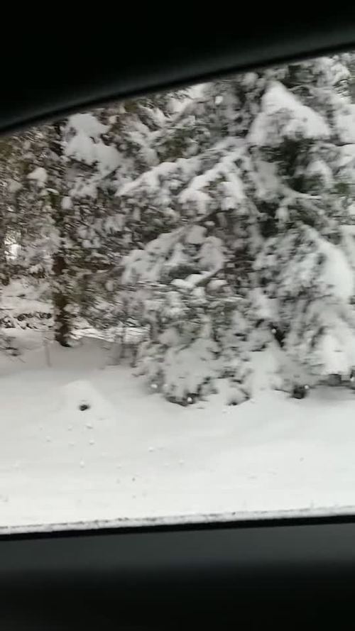 Zima dotarła do nas! ❄️☃️